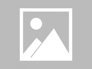 国网运维保安招聘条件（国网运维安保人员招聘标准）